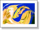 swish blue yellow