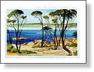 BunkersBay