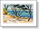 BunkersBay