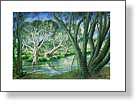 Broadwater Wetlands