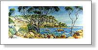 Shelly Beach Bunkers Bay Bussleton