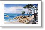 Shelly Beach Bunkers Bay Bussleton
