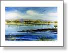Bussleton Wetlands