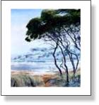 Govenment Lake Rottnest