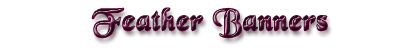 Feather Banners