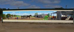 Mount Barker Mural